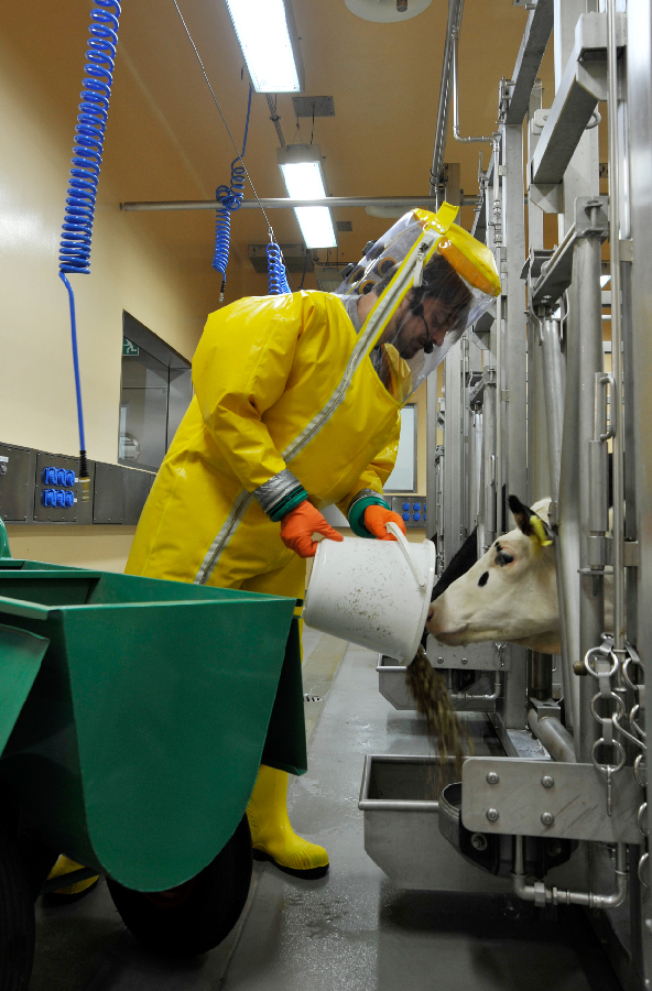 Zoo keeper work in full-body protective suits in the laboratory BSL-4 Zoonoses. (© FLI)