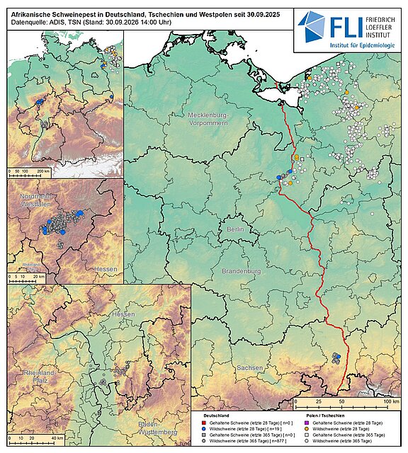 Karte: ASP in Deutschland, Tschechien und Westpolen, Stand 30.09.2026