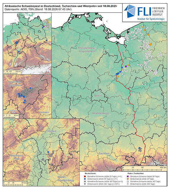 Karte: ASP in Deutschland, Tschechien und Westpolen, Stand 18.08.2026