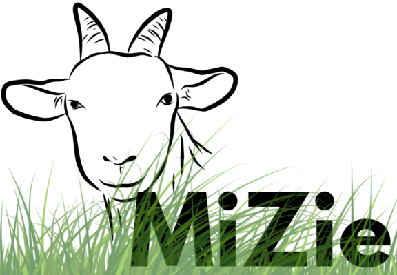 Logo MiZie  