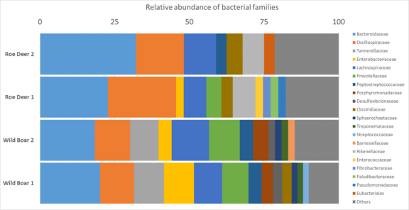 Relative abundance of bacterial families in the microbiome of roe deer and wild boar in percent (%) (from Homeier-Bachmann et al., 2022).