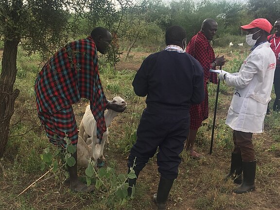 clinical investigation of small ruminants during a field simulation exercise clinical investigation of small ruminants during a field simulation exercise
