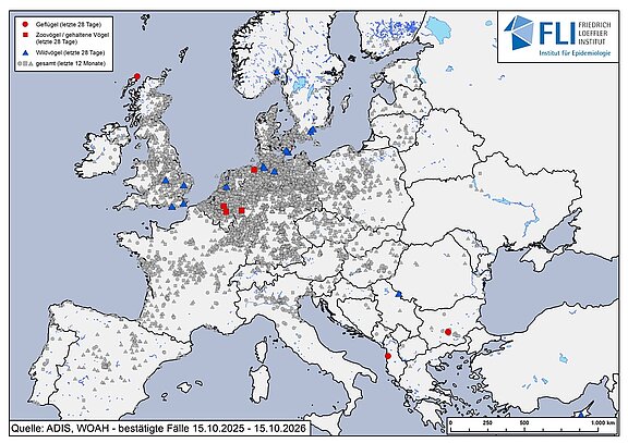 Karte: HPAI H5-Fälle in Europa, Stand 15.10.2026