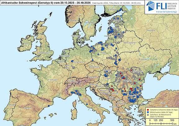 Karte: ASP in Europa, Stand 20.10.2026