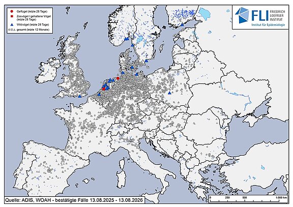 Karte: HPAI H5-Fälle in Europa, Stand 13.08.2026