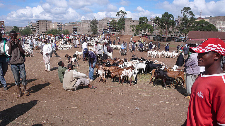 Foto: Tiermarkt in Kenia (Foto © FLI) 