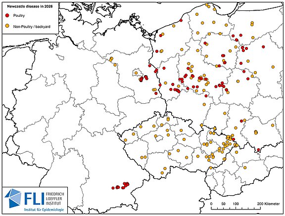 Karte: Übersicht über Ausbrüche der Newcastle-Krankheit in Deutschland mit Osteuropa seit 01.01.2026, Stand 15.10.2026
