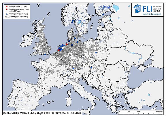 Karte: HPAI H5-Fälle in Europa, Stand 06.08.2026