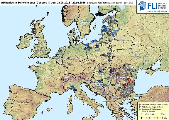 Karte: ASP in Europa, Stand 29.09.2026