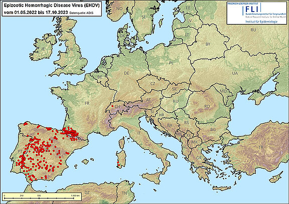 Map: outbreaks of EHDV in Europe since 01.05.2022, as of 17.10.2023.  