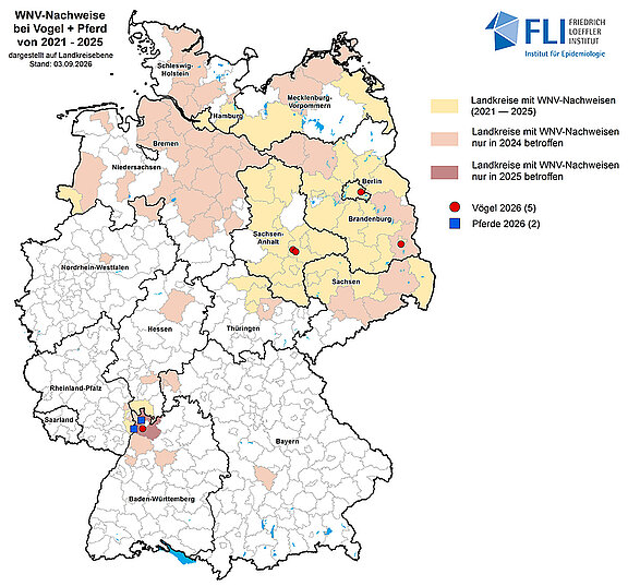 Karte: Nachgewiesene Fälle von Infektionen mit West-Nil-Virus bei Vogel und Pferd farblich auf Landkreisebene dargestellt für die Jahre 2021 bis 2025 kombiniert mit den derzeit aktuellen Fallzahlen des Jahres 2026 für Vogel (rote Punkte) und Pferd (bla Karte: Nachgewiesene Fälle von Infektionen mit West-Nil-Virus bei Vogel und Pferd farblich auf Landkreisebene dargestellt für die Jahre 2021 bis 2025 kombiniert mit den derzeit aktuellen Fallzahlen des Jahres 2026 für Vogel (rote Punkte) und Pferd (blaue Kästchen). Stand: 03.09.2026
