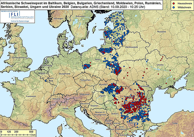 Map: ASF in the Baltic States, Belgium, Bulgaria, Greece, Moldova, Poland, Romania, Serbia, Slovakia, Ukraine and Hungary 2020, as of September 10, 2020 (© Friedrich-Loeffler-Institut)