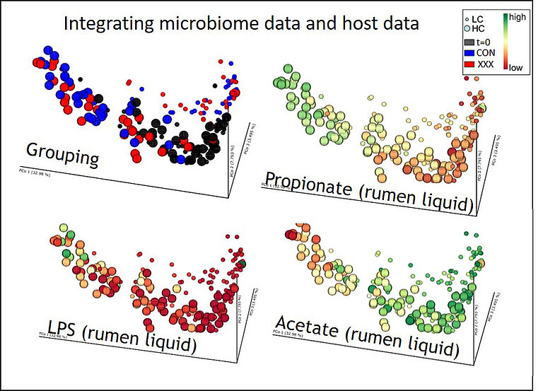 Integrating microbiome data and host data (Graphic © FLI)