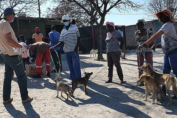 Hundeimpfung in Namibia